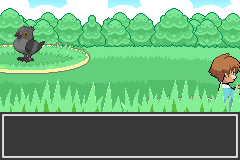Pokemon Eclat Pourpre Battle