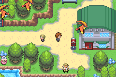 Pokemon Eclat Pourpre Town