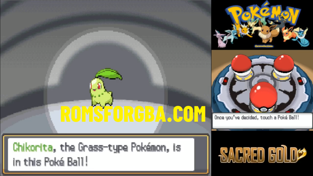 Pokemon Sacred Gold NDS ROM Hack