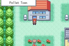 Screenshot of Pokemon New Generations GBA