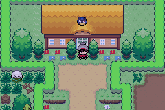 Screenshot of Pokemon Sword and Shield Ultimate ROM