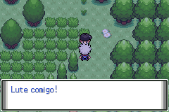 Screenshot of Pokemon Super Dark Worship Hack